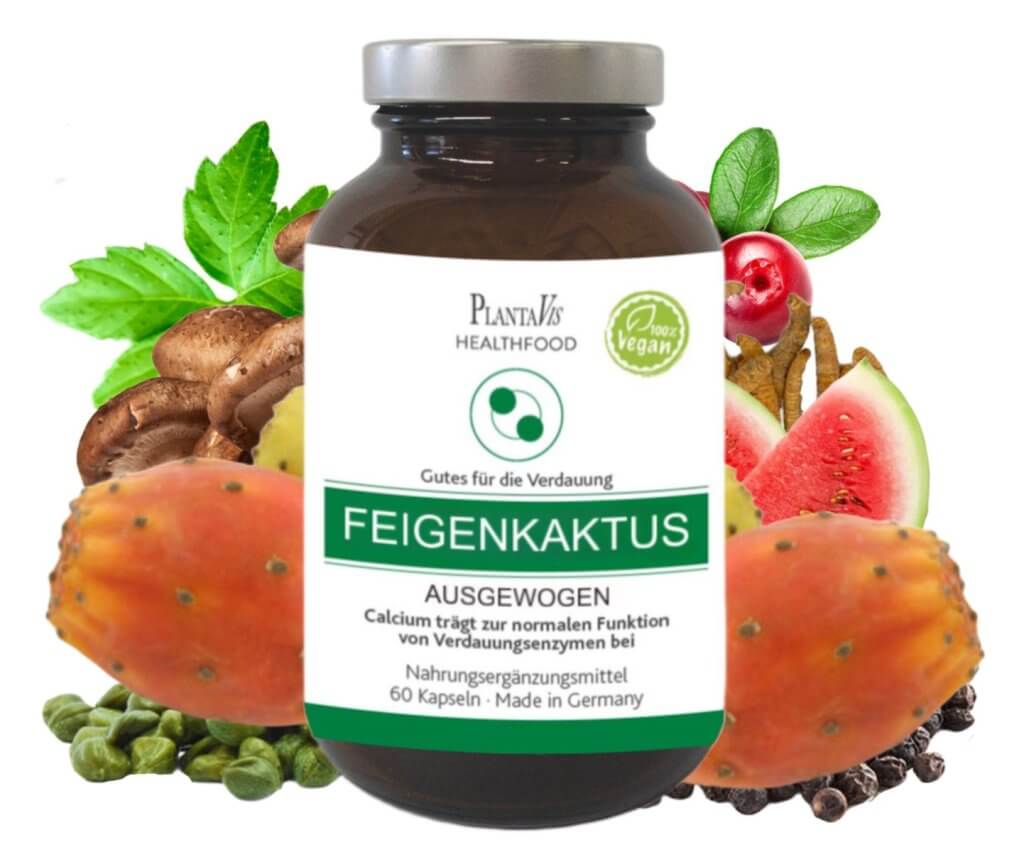 AUSGEWOGEN FEIGENKAKTUS KAPSELN FEIGENKAKTUS HILFT ERFOLGREICH FETT ZU VERBRENNEN, DEN STOFFWECHSEL ZU FÖRDERN UND DAS IMMUNSYSTEM ZU STÄRKEN 30 Tage Versorgung  Inhalt: 60 Kapseln | Füllmenge: 32,8 g.