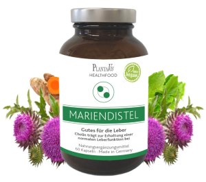 Mariendistel Kapseln Cholin trägt zur Erhaltung einer normalen Leberfunktion bei 30 Tage Versorgung  Inhalt: 60 Kapseln | Füllmenge: 36,08g.